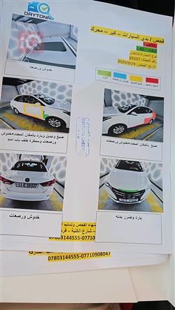 چانگان ئەلسڤین